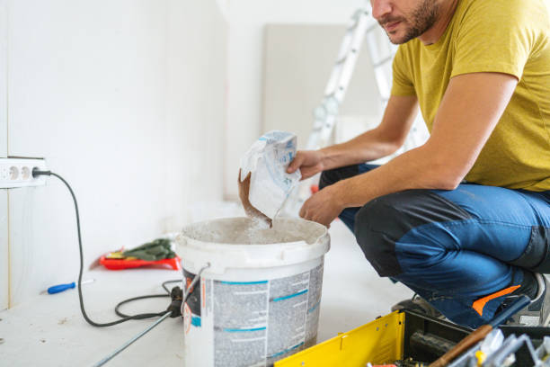 Best Drywall Removal and Disposal  in Smithton, IL