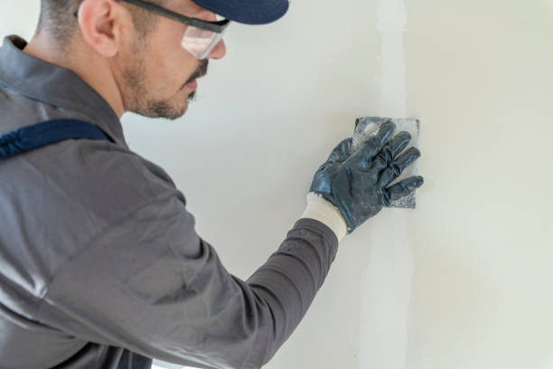 Best Drywall Sanding and Smoothing  in Smithton, IL